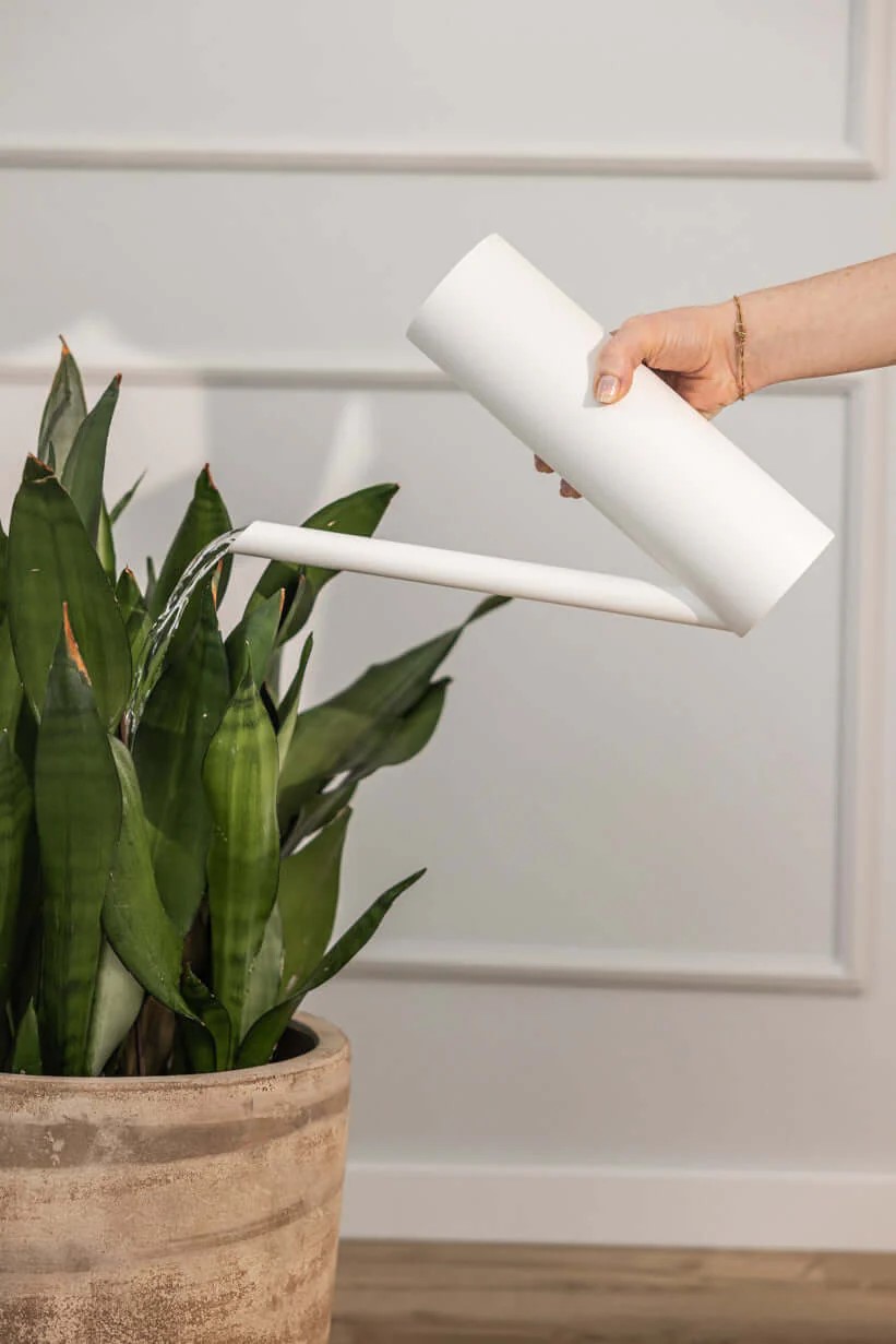 METALLBUDE // YAMIRA - WATERING CAN | WHITE